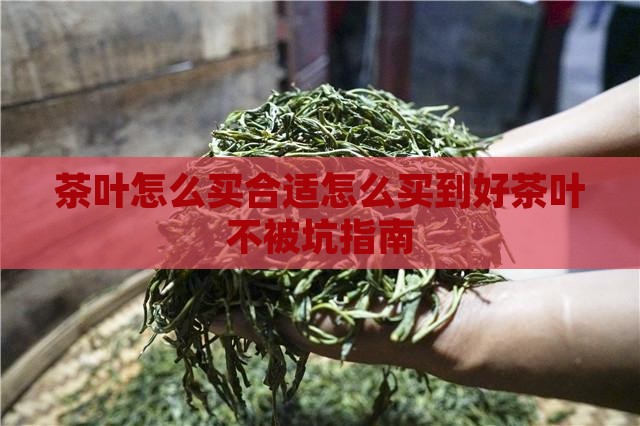 茶叶怎么买合适怎么买到好茶叶不被坑指南