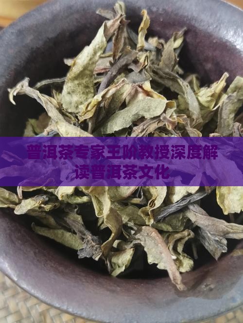 普洱茶专家王阶教授深度解读普洱茶文化