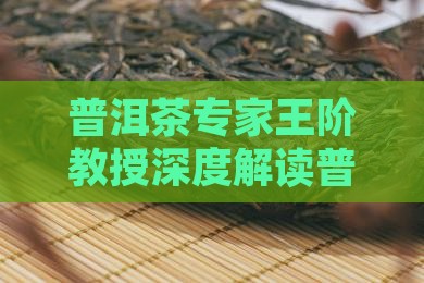 普洱茶专家王阶教授深度解读普洱茶文化