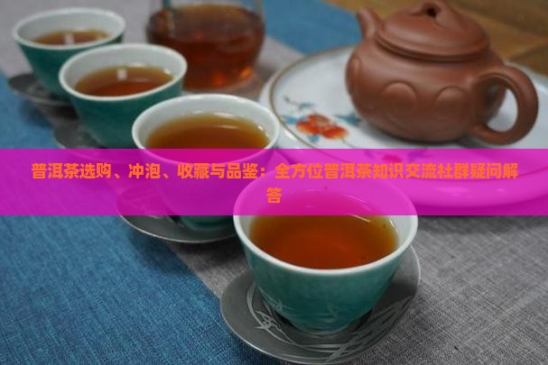 普洱茶选购、冲泡、收藏与品鉴：全方位普洱茶知识交流社群疑问解答