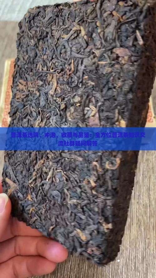 普洱茶选购、冲泡、收藏与品鉴：全方位普洱茶知识交流社群疑问解答