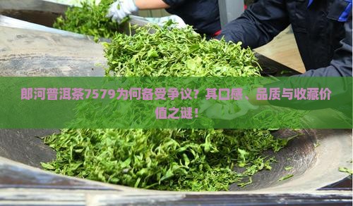 郎河普洱茶7579为何备受争议？其口感、品质与收藏价值之谜！
