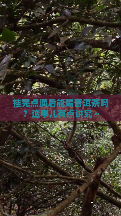 挂完点滴后能喝普洱茶吗？这事儿有点讲究～