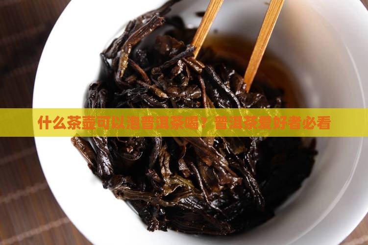 什么茶壶可以泡普洱茶喝？普洱茶爱好者必看