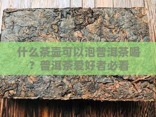 什么茶壶可以泡普洱茶喝？普洱茶爱好者必看