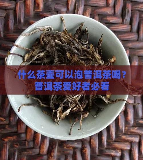 什么茶壶可以泡普洱茶喝？普洱茶爱好者必看