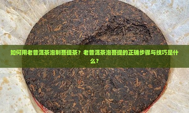 如何用老普洱茶泡制菩提茶？老普洱茶泡菩提的正确步骤与技巧是什么？