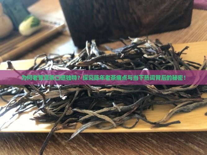 为何老普洱茶口感独特？探究陈年老茶痛点与当下热词背后的秘密！