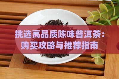 挑选高品质陈味普洱茶：购买攻略与推荐指南