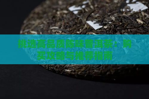 挑选高品质陈味普洱茶：购买攻略与推荐指南