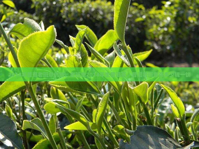 2014年普洱老班章价格，老班章2014年生普洱茶，普洱老班章茶多少钱一饼