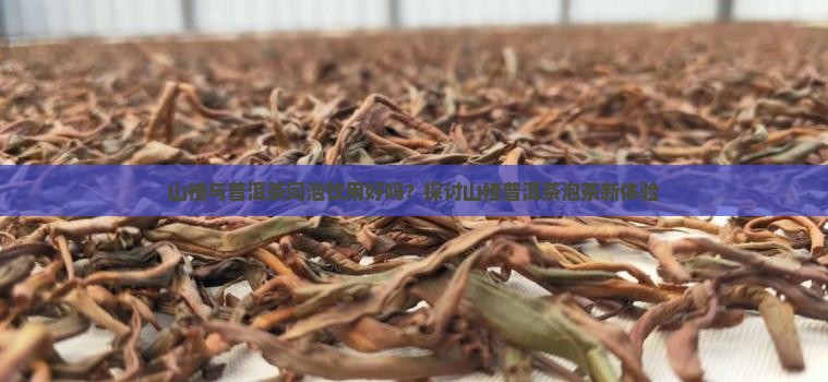 山楂与普洱茶同泡饮用好吗？探讨山楂普洱茶泡茶新体验