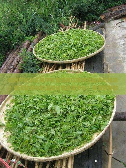 如何在家中正确存放普洱茶以保持其品质与风味？普洱茶保存的温度和湿度是多少？普洱茶存放时应避免哪些常见误区？