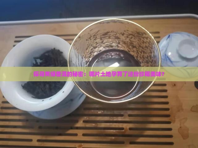 探寻黄绿普洱的秘密：哪片土地孕育了这份珍稀美味？