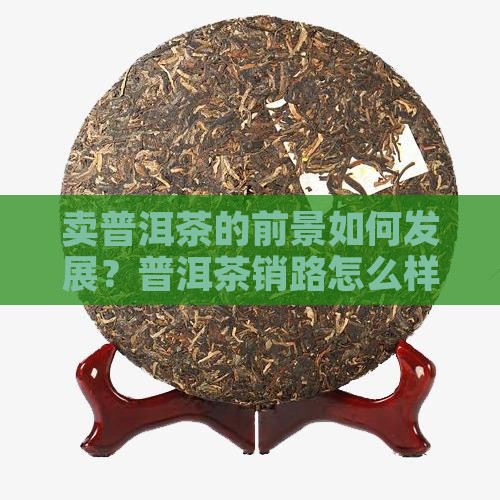 卖普洱茶的前景如何发展？普洱茶销路怎么样