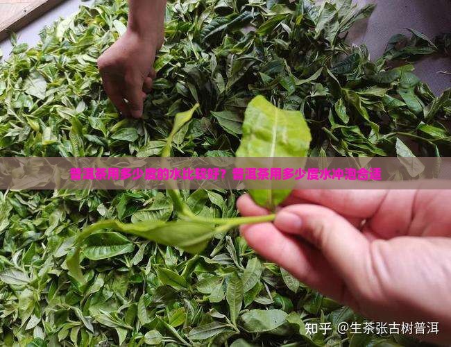 普洱茶用多少度的水比较好