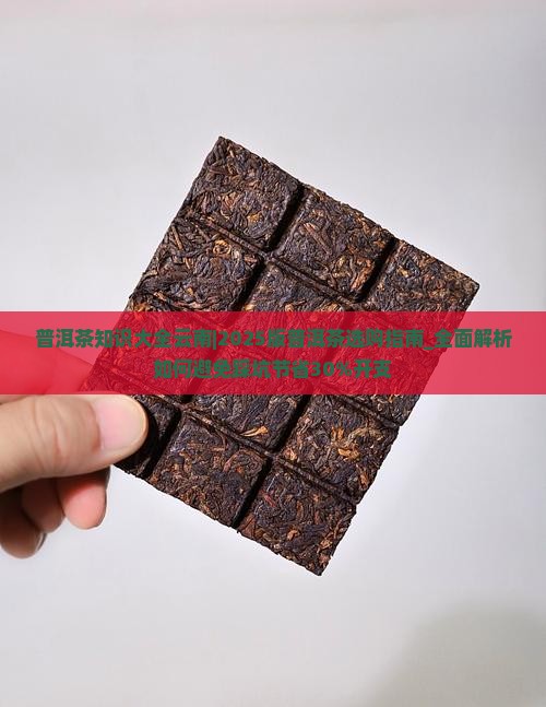 普洱茶知识大全云南