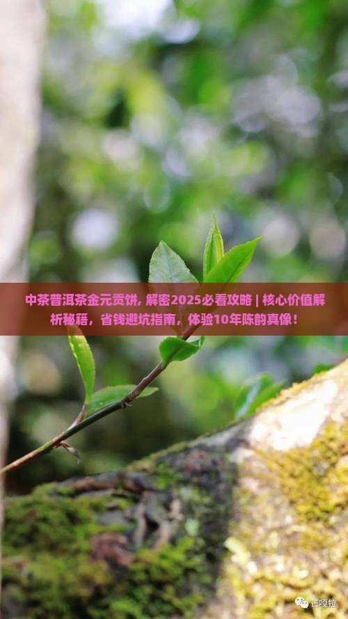中茶普洱茶金元贡饼