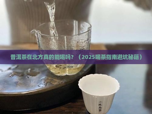 普洱茶在北方能喝吗