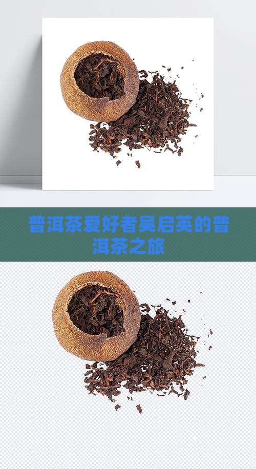 吴启英的普洱茶