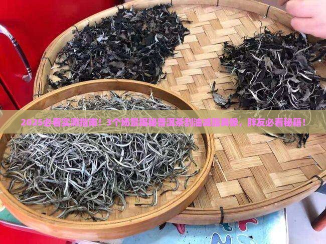 普洱茶有助于刮油减脂吗