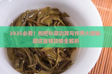 枇杷叶茶的功效与作用及禁忌