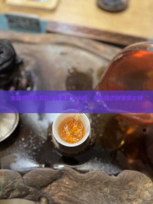 水塘古树普洱茶