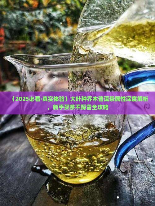 大叶种乔木普洱茶属性