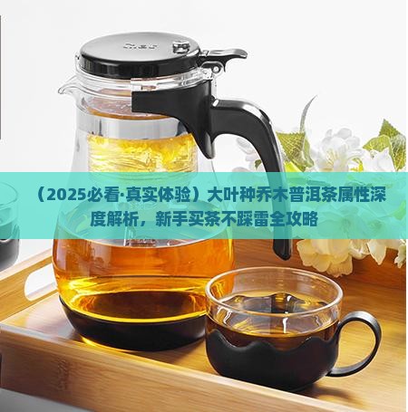 大叶种乔木普洱茶属性