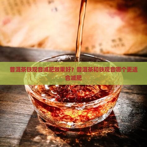 普洱茶铁观音减肥效果好