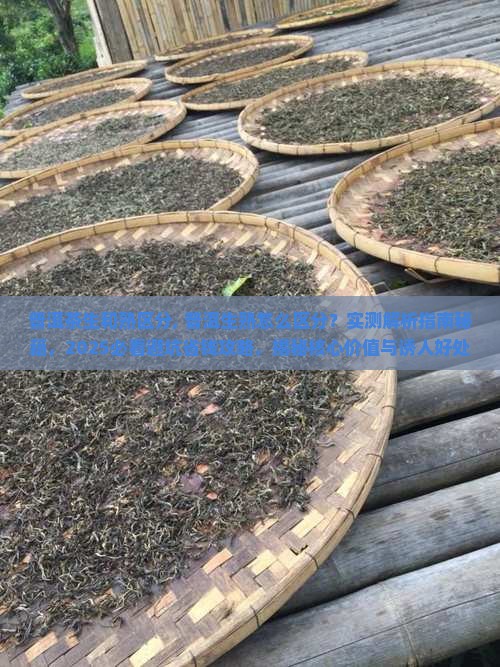 普洱茶生和熟区分