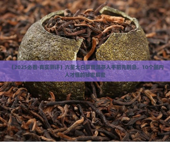 六星大白菜普洱茶