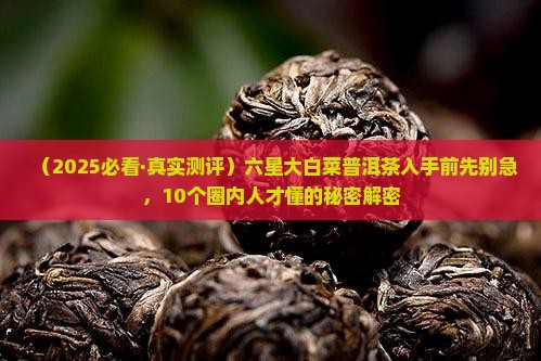 六星大白菜普洱茶