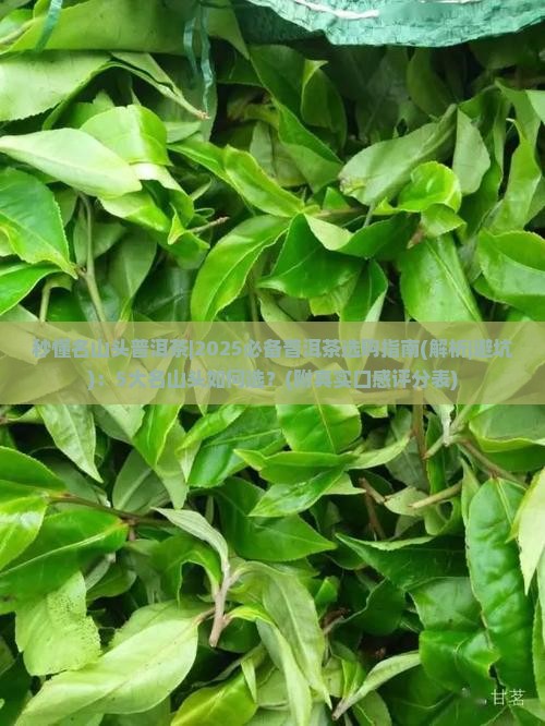 秒懂名山头普洱茶