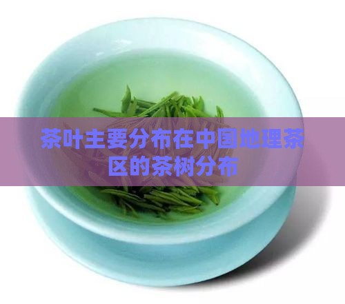 茶叶主要分布在什么地形区