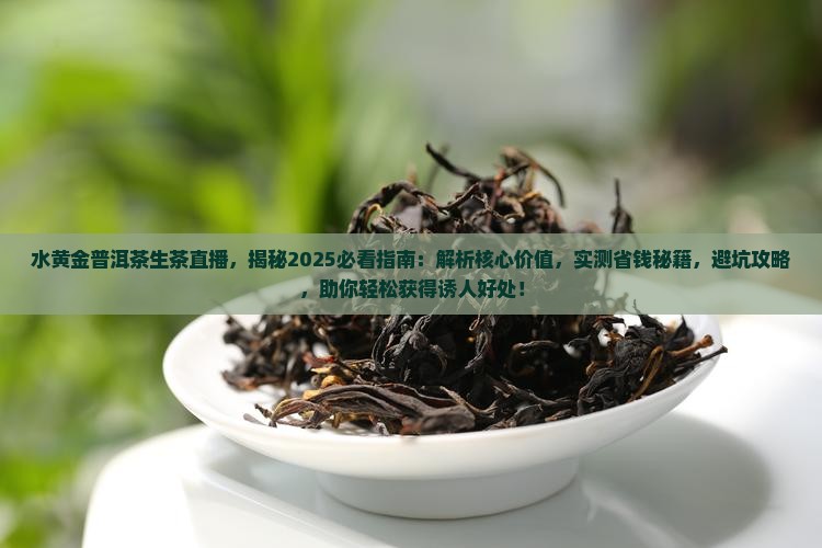 水黄金普洱茶生茶直播