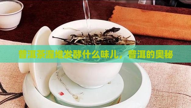 普洱茶渥堆发酵什么味儿