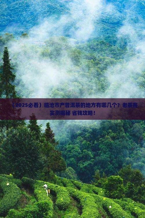 临沧市哪个地方产普洱茶