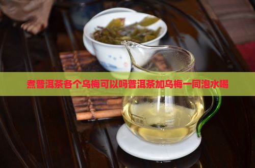 煮普洱茶各个乌梅可以吗
