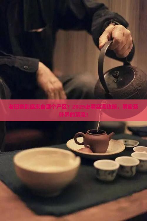 老班章是那个产区的茶