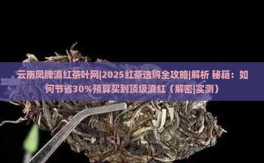 云南凤牌滇红茶叶网