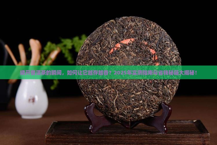 撬开后的普洱茶如何保存