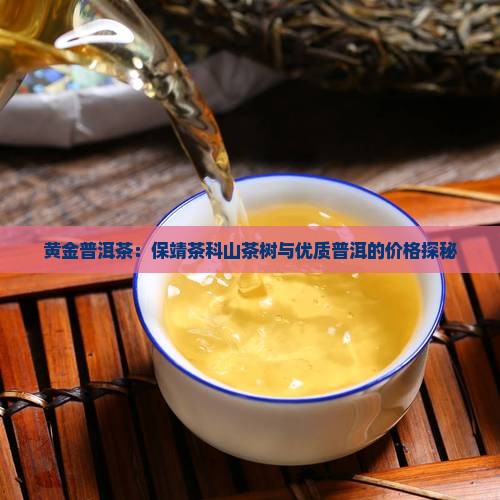 黄金一号普洱茶