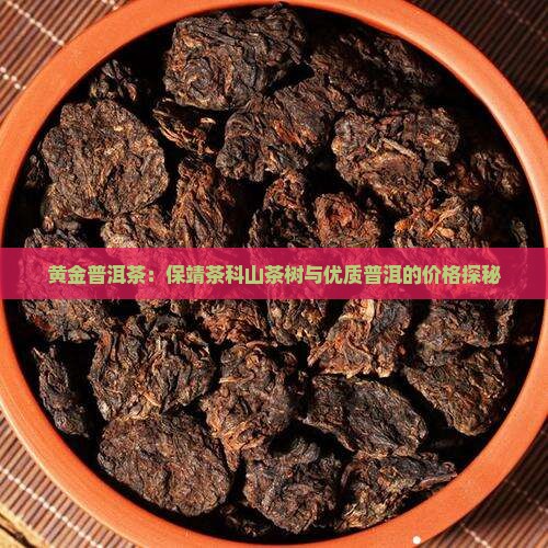 黄金一号普洱茶