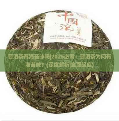 普洱茶有海苔味吗