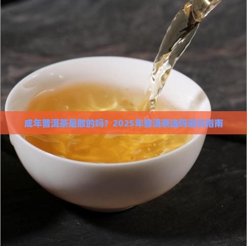 成年普洱茶是散的吗