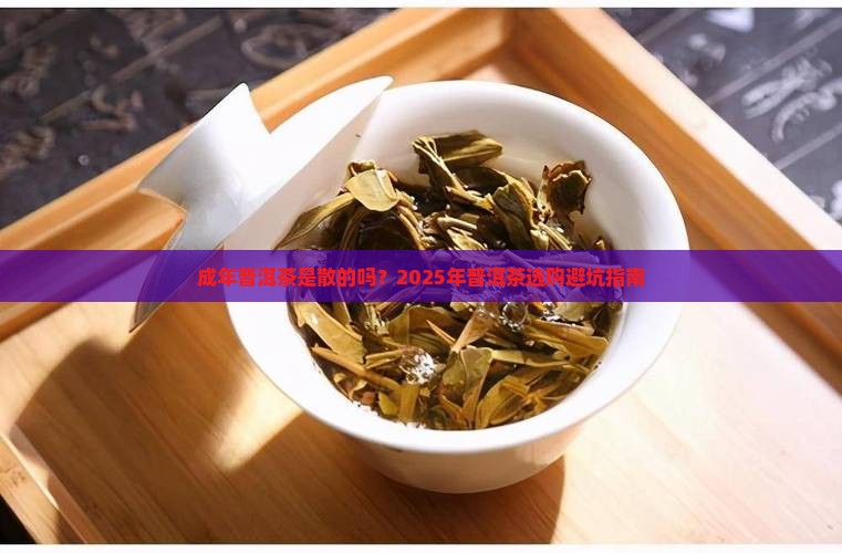 成年普洱茶是散的吗