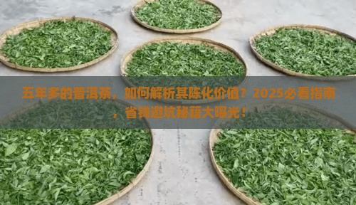 五年多的普洱茶 五年多的普洱茶