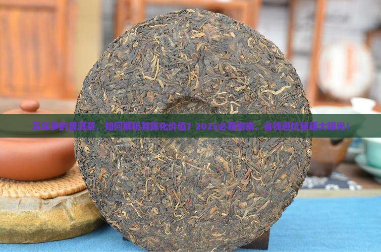五年多的普洱茶 五年多的普洱茶