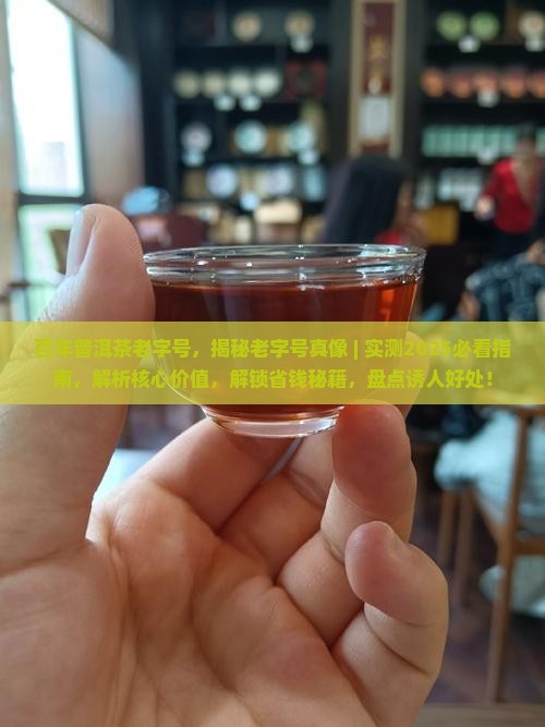 百年普洱茶老字号 百年普洱茶老字号